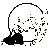 dtodoroff profile pic