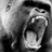 cyanide032 profile pic