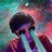 z a n e profile pic