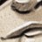 mcbaldassari profile pic