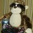 BoulosAntoun profile pic