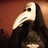 CourtneyLynne profile pic