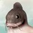 kilfish profile pic