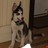 Square Bob profile pic