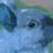 KidKahler profile pic