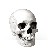 mdpt profile pic