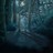 wild_wilderness profile pic