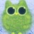 threadfly profile pic