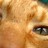 Bewn profile pic