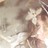 sporadic__ profile pic