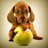 alettuce profile pic