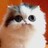 ch0nce profile pic