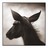 ivy7496 profile pic