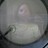 jar_bombadillo profile pic