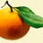 leaf_green profile pic