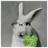 Rabbittomaru profile pic