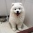 bbonyx profile pic