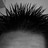 Post Scriptum profile pic