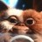 stezton profile pic
