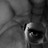 0II0II0I profile pic