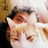 burakdesik profile pic