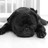 threadlessluvr profile pic
