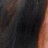 NellasCanellas profile pic
