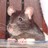 durbanatal profile pic