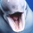Trishk profile pic
