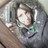paigee profile pic