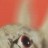 cmclemor profile pic