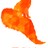 Chickadee1999 profile pic