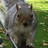 Kazu81 profile pic