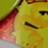 niwa_brasil profile pic