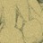 Shipwreck profile pic
