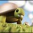 wundoroo profile pic
