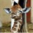 Giraffe_Nubbies profile pic