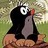 pausenstulle profile pic