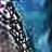 TThaw profile pic