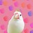 bodaisatta profile pic
