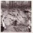 biodiesel101 profile pic