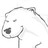 bcintra12 profile pic