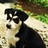 steilo profile pic