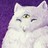 Michelle Martins Illustration profile pic