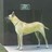 prettydawg profile pic