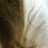 lllaria profile pic