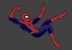 spiderting