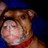 hutchinson-panter profile pic