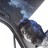 danielcamposlozada profile pic
