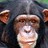 cgus profile pic